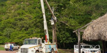 Empresa Air-e anuncia labores de poda y cambio de poste en el Morro