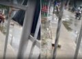 Bebé de ocho meses y dos adultos resultan heridos tras ataque a bala en Las Malvinas