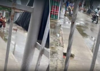 Bebé de ocho meses y dos adultos resultan heridos tras ataque a bala en Las Malvinas