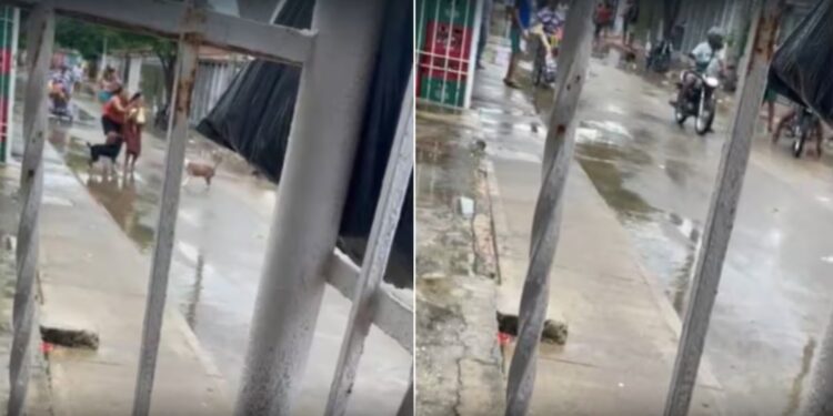 Bebé de ocho meses y dos adultos resultan heridos tras ataque a bala en Las Malvinas
